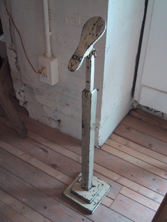 d0079151_21594.jpg