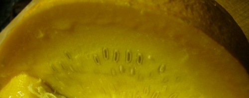 a0048852_15401897.jpg