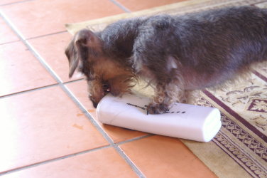 f0145758_23101176.jpg