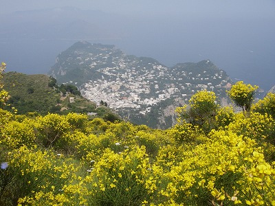 e0066062_1622057.jpg