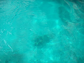 e0066062_1632084.jpg