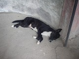 e0066062_22172969.jpg