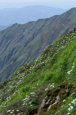 e0054067_7581691.jpg