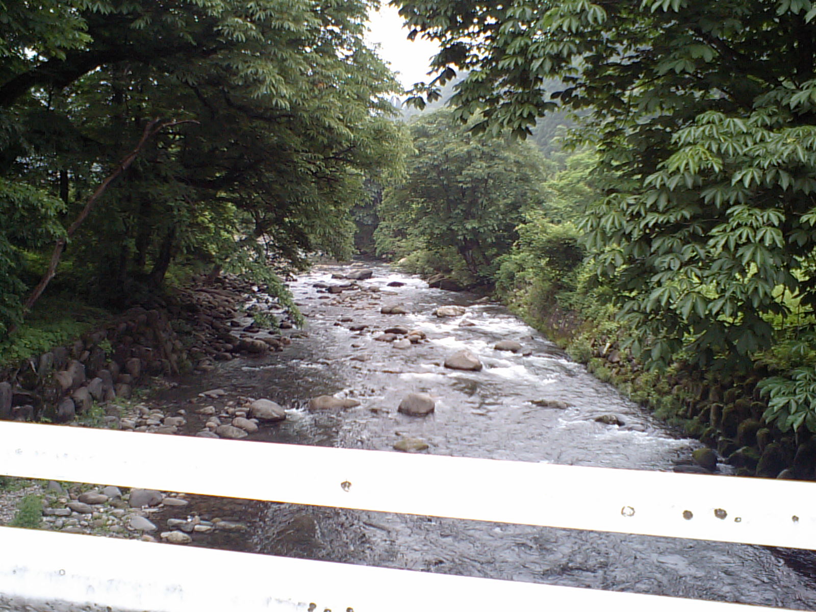 a0093677_19213611.jpg
