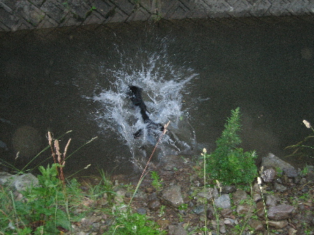d0116578_21102323.jpg