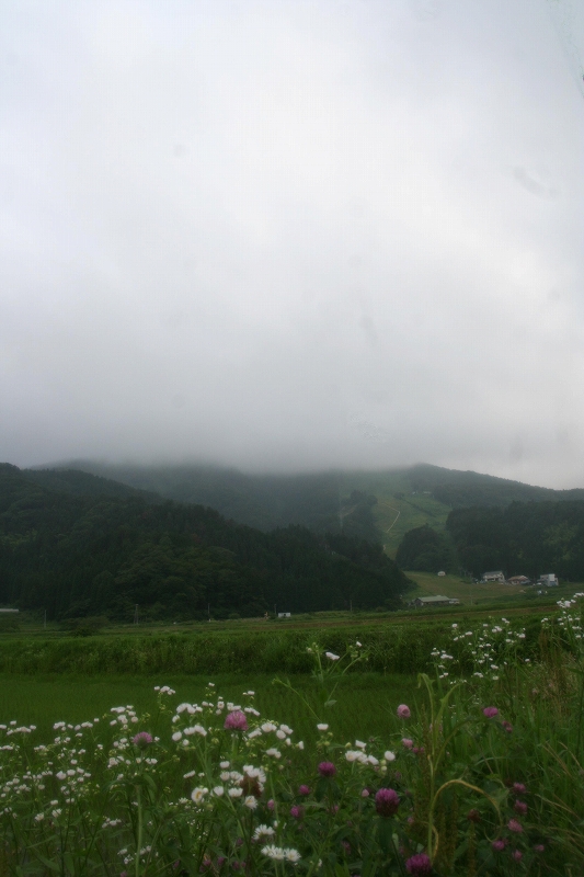 e0024081_2239265.jpg