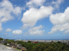e0033384_130404.jpg