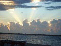 e0033384_1310877.jpg