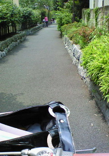 e0088684_232293.jpg