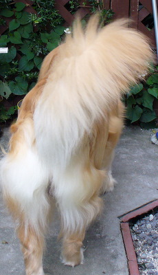 e0026586_15593015.jpg