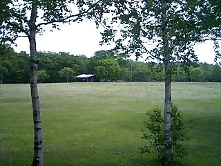f0075087_21402436.jpg