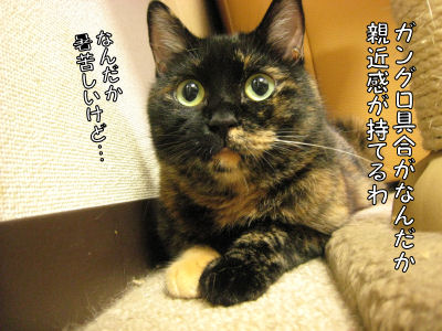 a0045990_043325.jpg