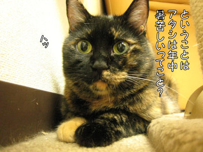 a0045990_044459.jpg