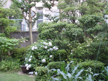 f0130894_2155744.jpg