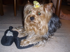 f0130894_22771.jpg