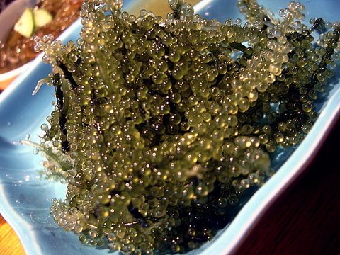 d0010496_144235100.jpg