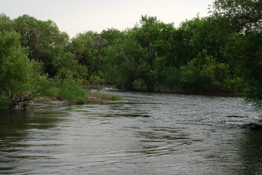 a0062697_21462559.jpg