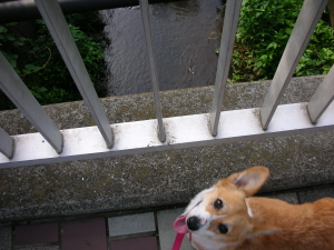 d0104705_2012327.jpg