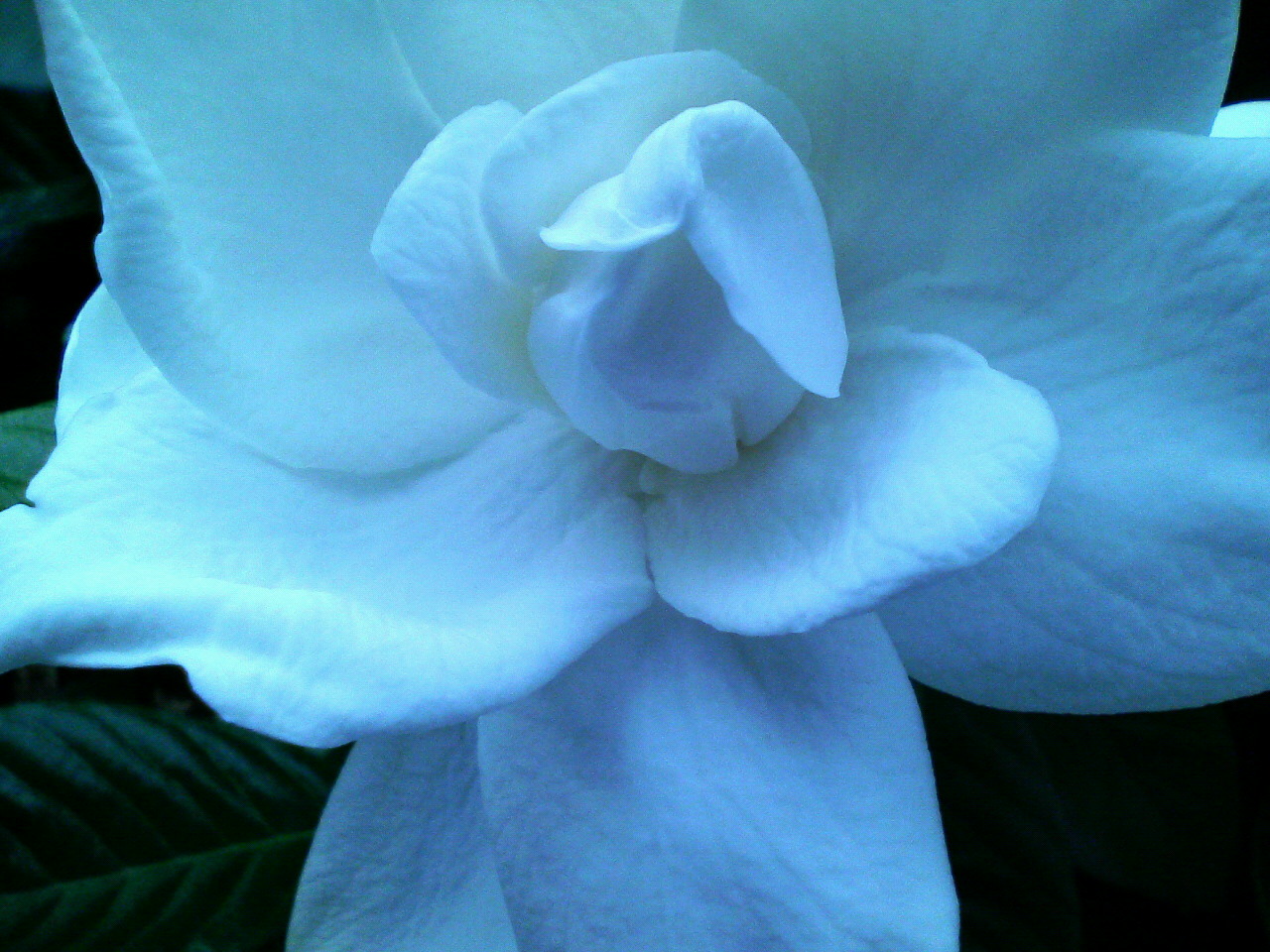 d0000607_20235939.jpg