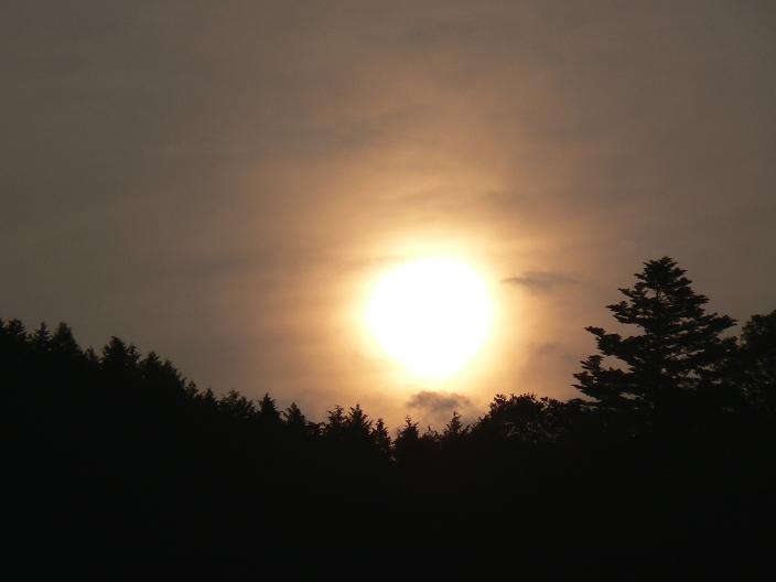 c0086014_21121360.jpg