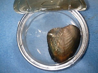 c0120316_13241667.jpg