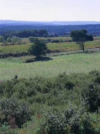 c0083518_19223192.jpg