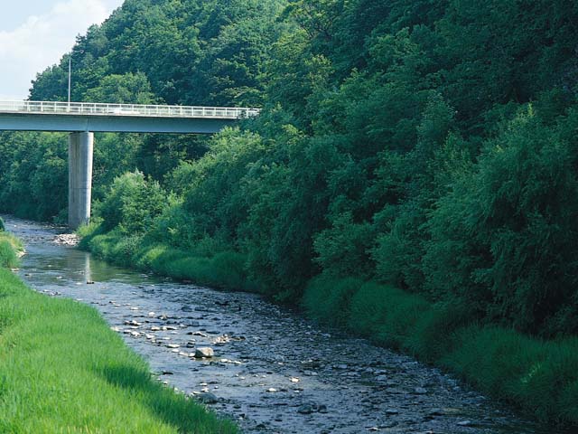 c0083518_1991117.jpg
