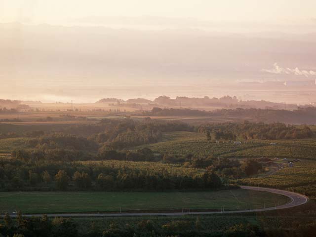 c0083518_1995317.jpg