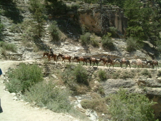 f0037623_13164974.jpg