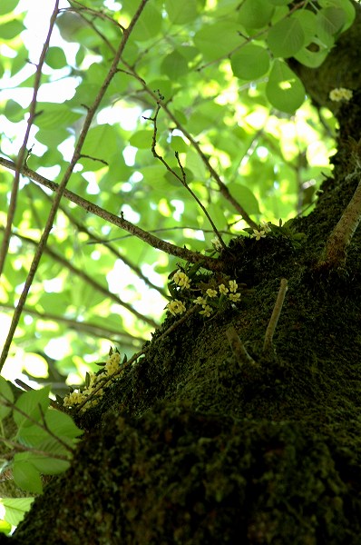 c0027027_2341565.jpg
