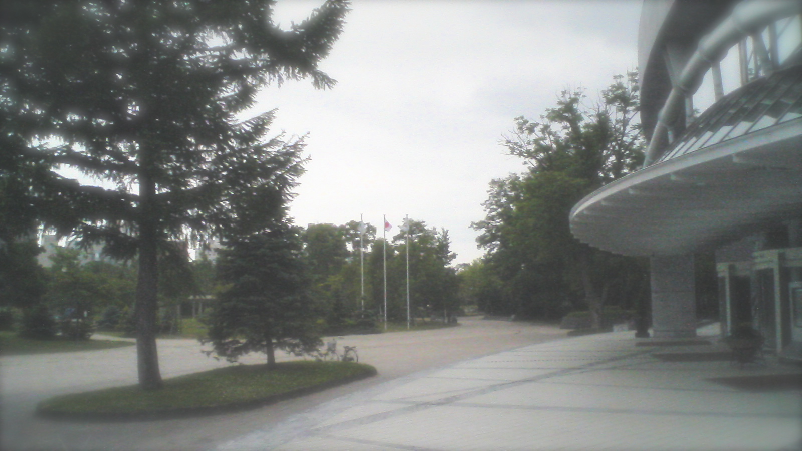 a0072337_322445.jpg