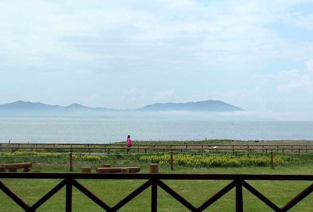 e0039744_841309.jpg