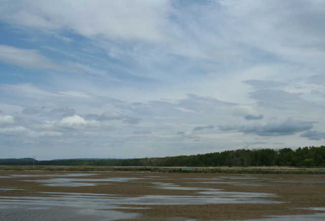 e0039744_963636.jpg
