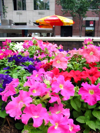 a0087045_12283379.jpg