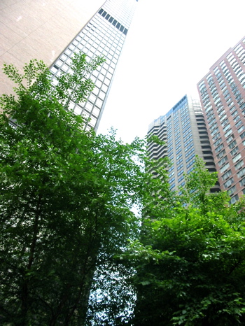 a0087045_12295594.jpg