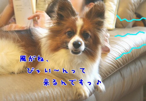 d0013149_042298.jpg