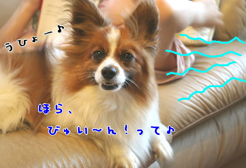 d0013149_042561.jpg