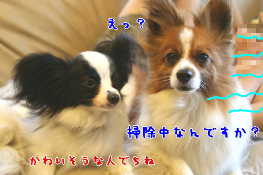 d0013149_0515491.jpg