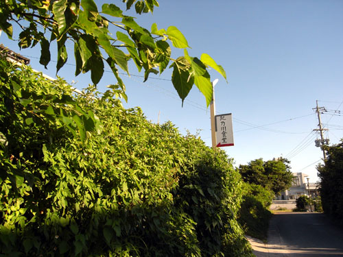 b0049152_20344114.jpg