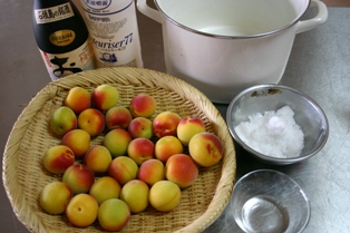 f0139253_849667.jpg