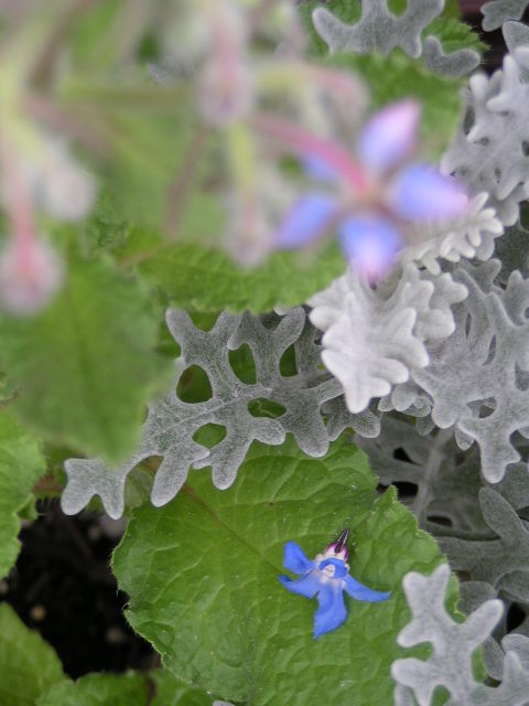 f0074659_23454386.jpg