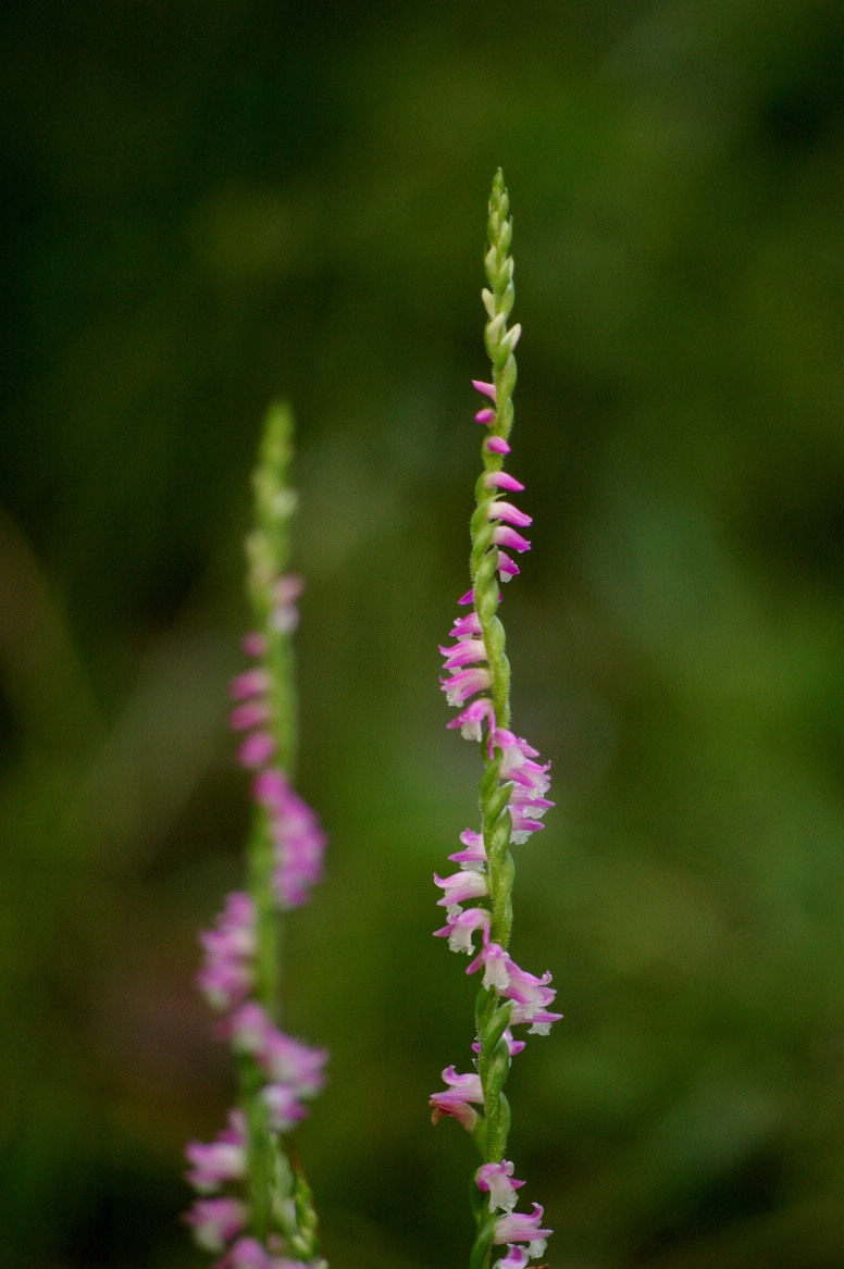 f0146161_0154325.jpg