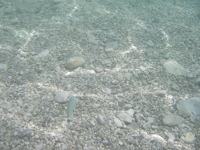 e0066062_0133654.jpg