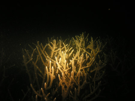 b0062363_0121736.jpg
