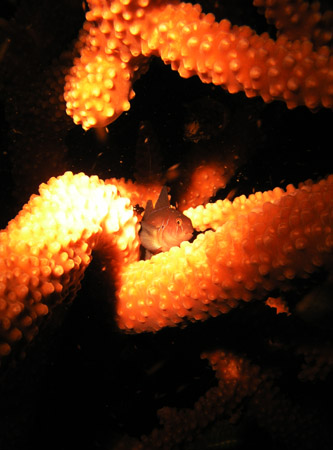 b0062363_0153080.jpg