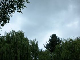 d0003363_17462232.jpg