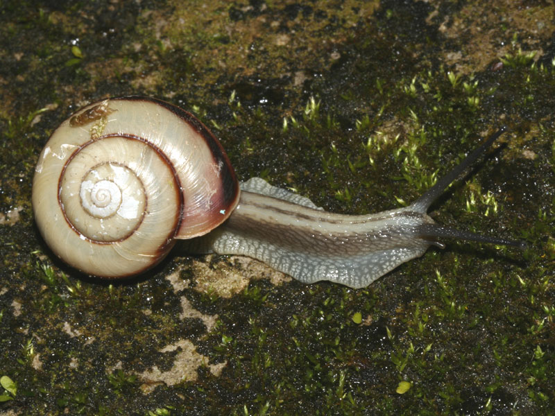 a0009666_7181573.jpg