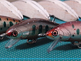 a0030168_9393092.jpg