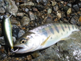 a0030168_954031.jpg