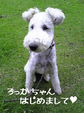 b0091373_004237.gif